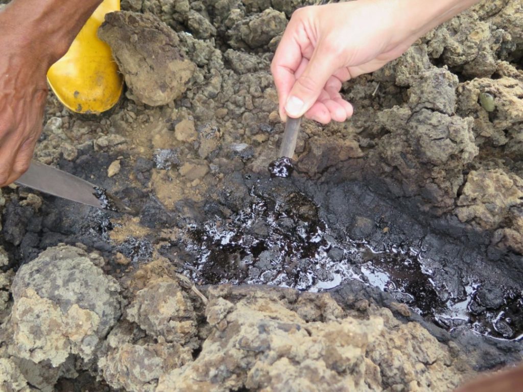 Shell Pollution Niger Delta