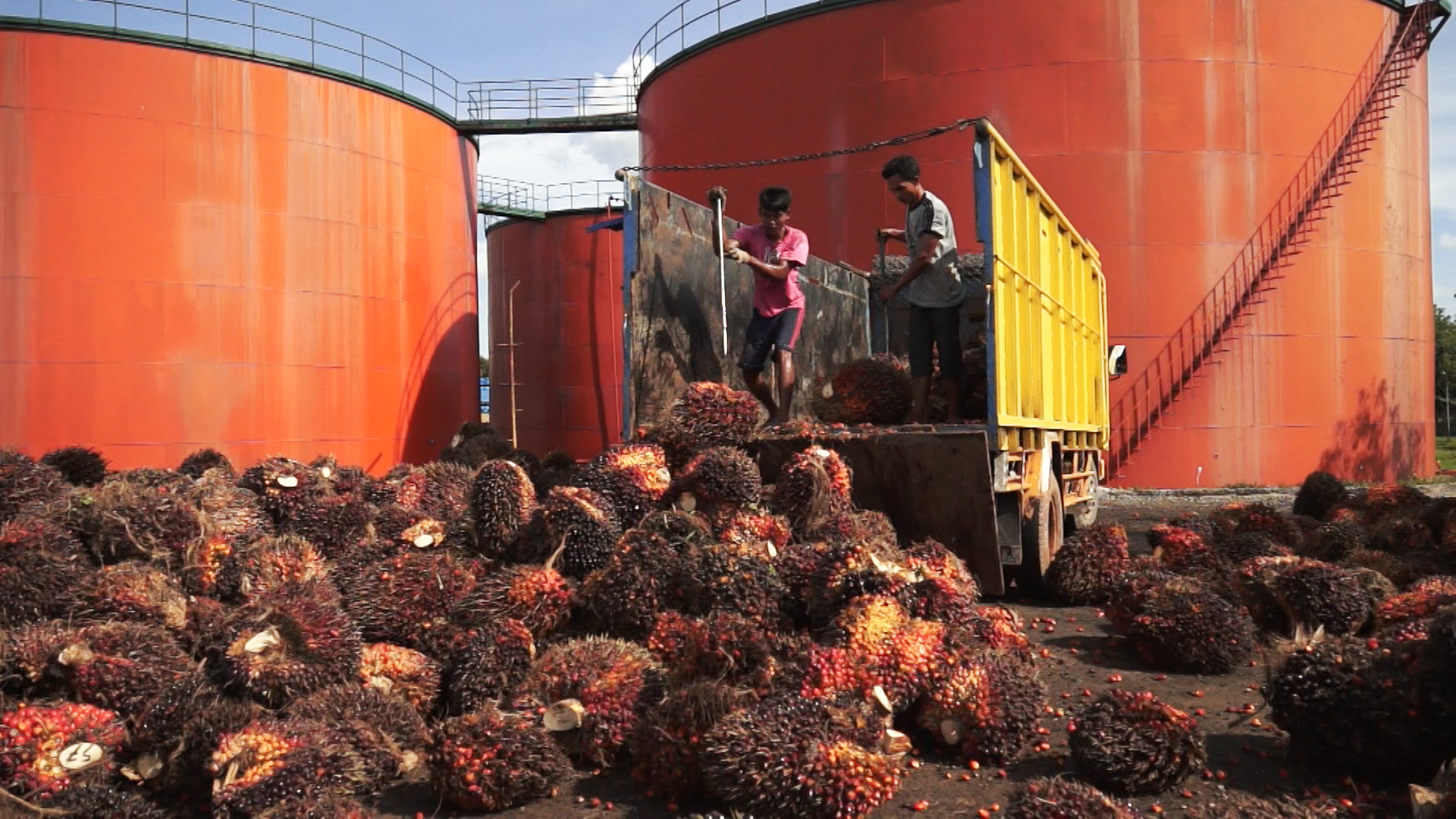 Indonesia: Palm oil workers must get justice