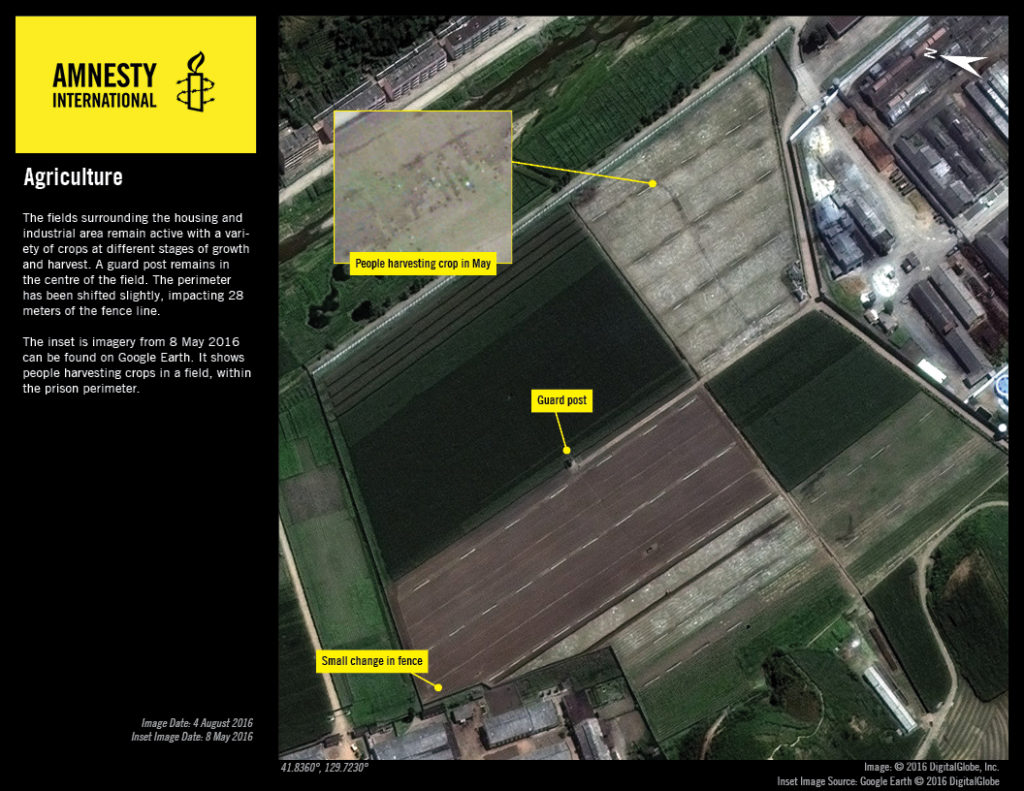 In imagery from May 2016, people are visible harvesting crops from a field within the prison’s perimeter which, along with the construction of a mill and probable mine are consistent with the ongoing and expansion of labour-intensive activities in the camp © 2016 DigitalGlobe, Inc.