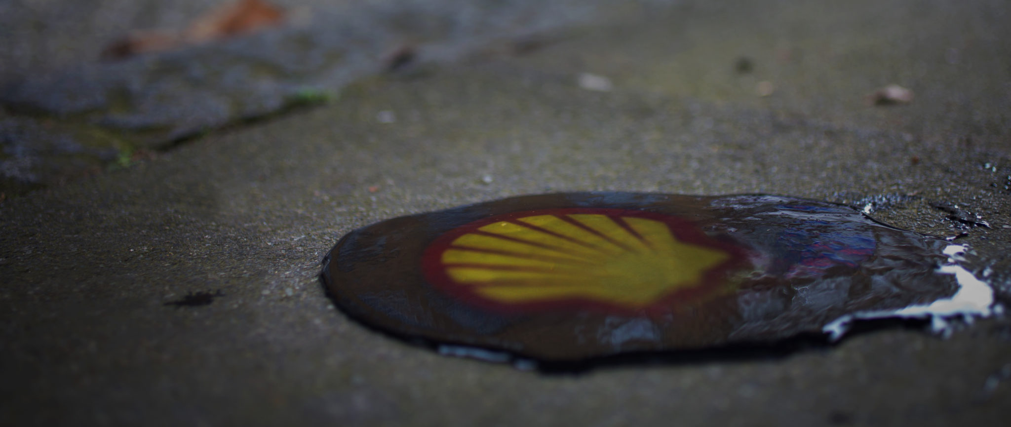 Nigeria: Shell complicit in the arbitrary executions of Ogoni Nine as writ served in Dutch court