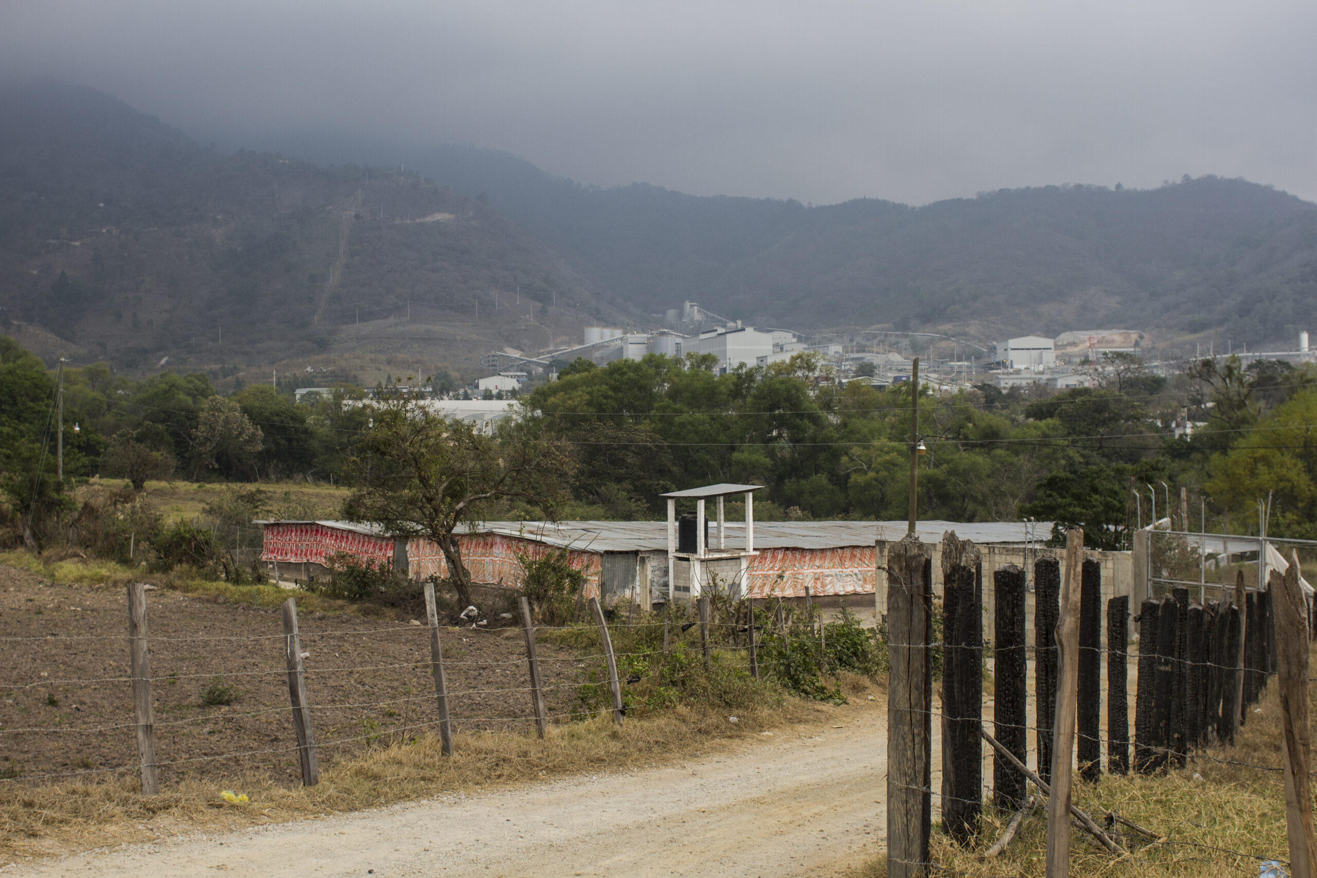 Urgent Action: Guatemala – Indigenous leader Julio González shot
