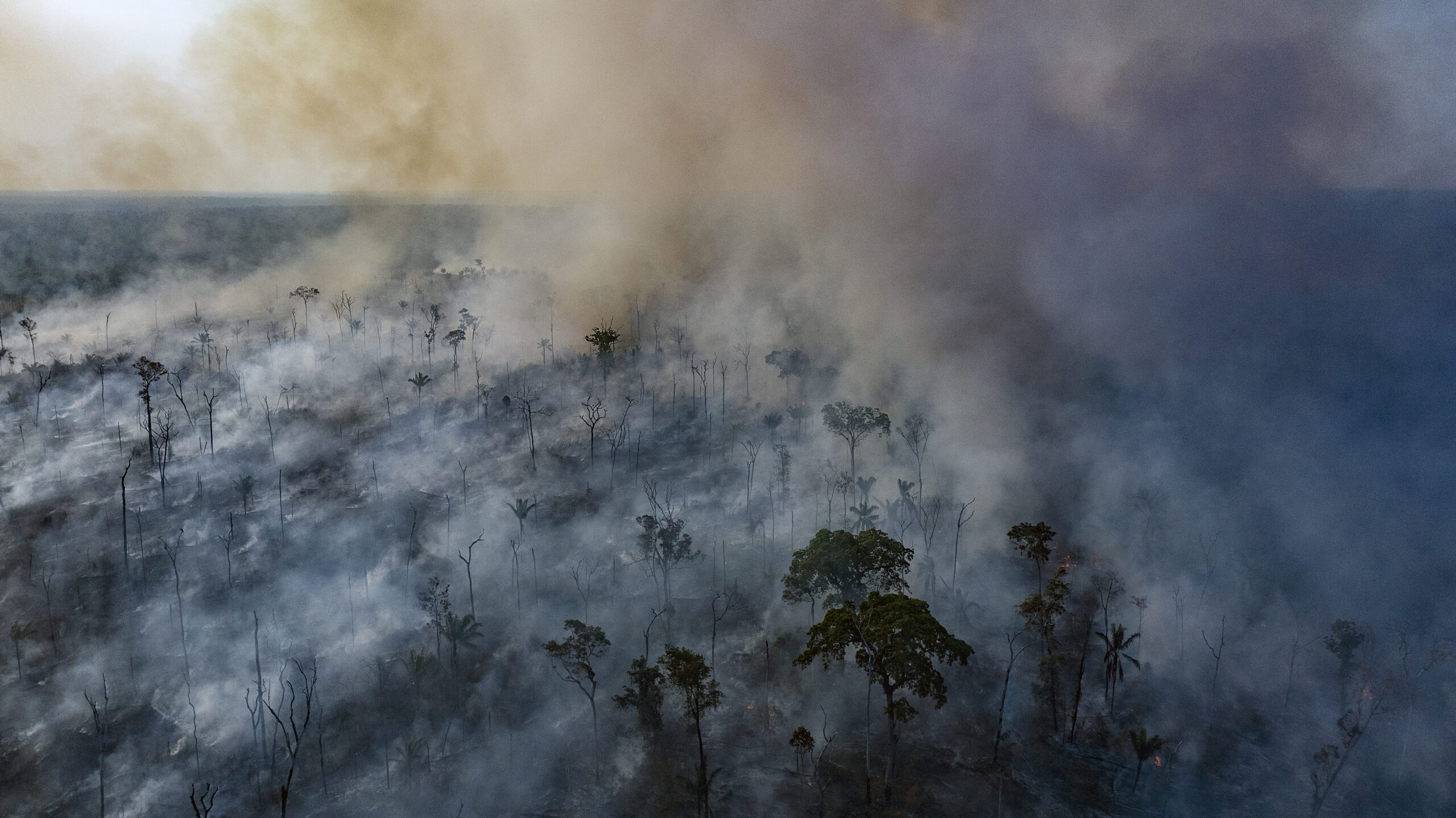 COP26: Leaders’ catastrophic failure on climate shows they have forgotten who they should protect – humanity at large