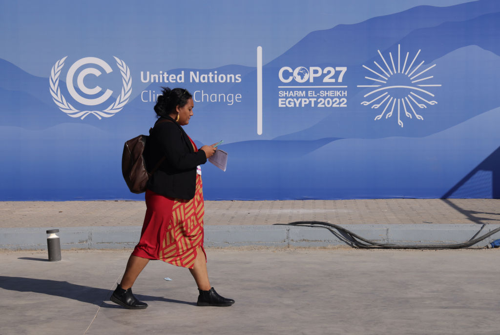 A delegate walks past during cop27