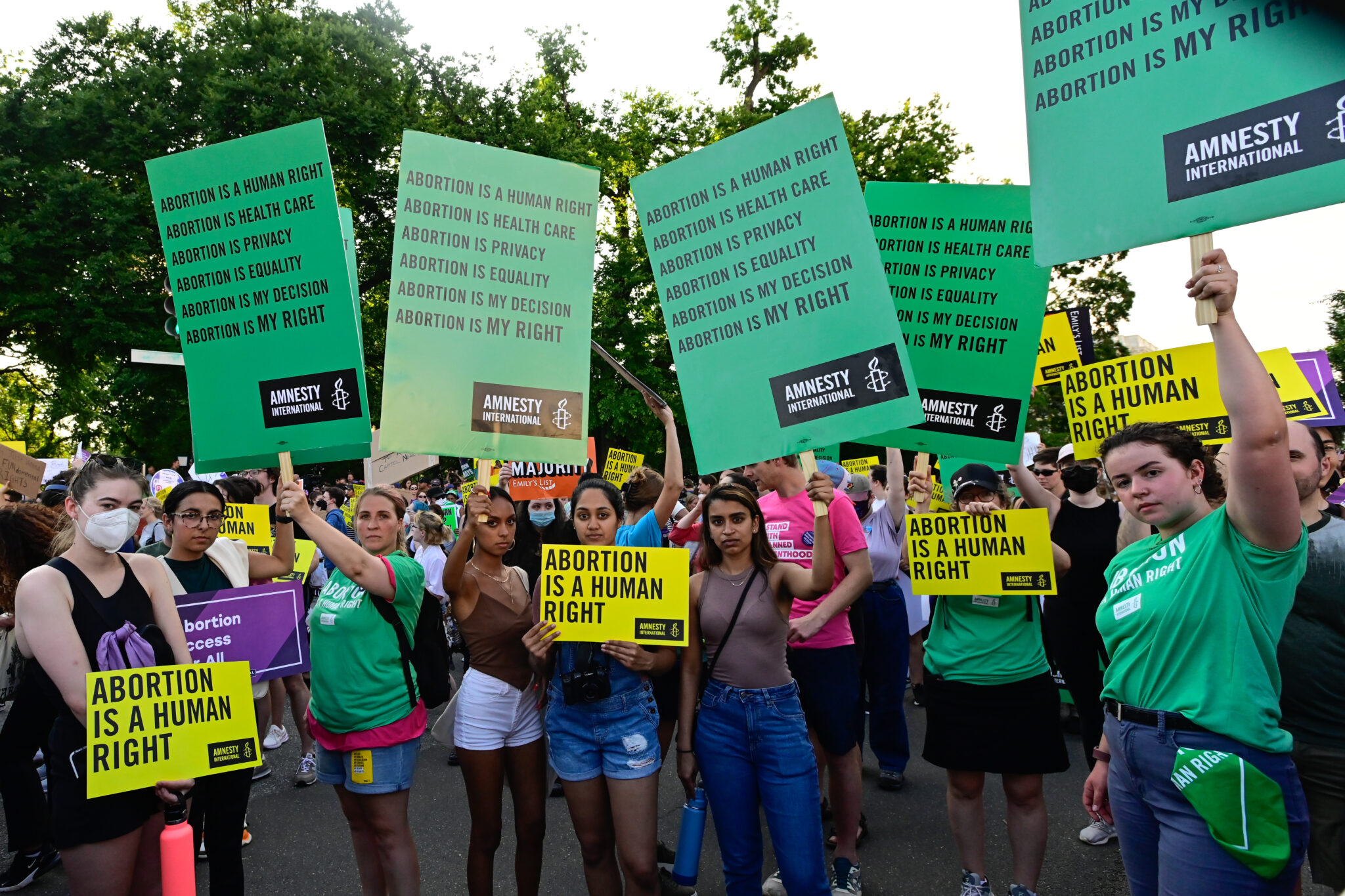 Thank You For Taking Action - Amnesty International Ireland