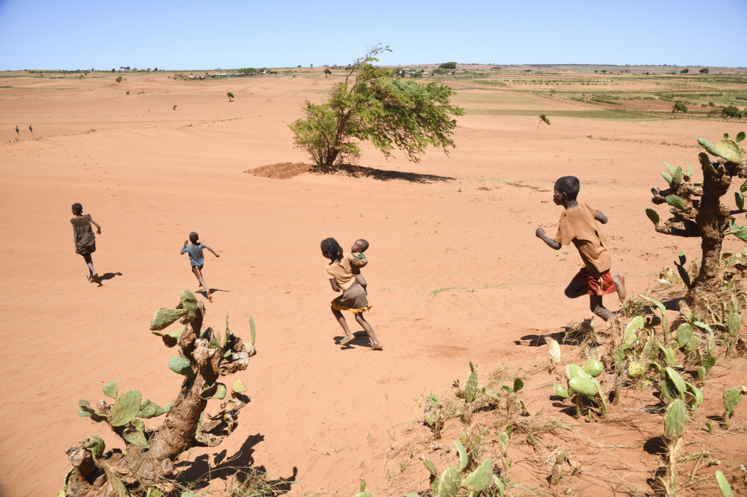Madagascar: Authorities fail to protect and assist Antandroy people displaced by climate-exacerbated droughts – new report