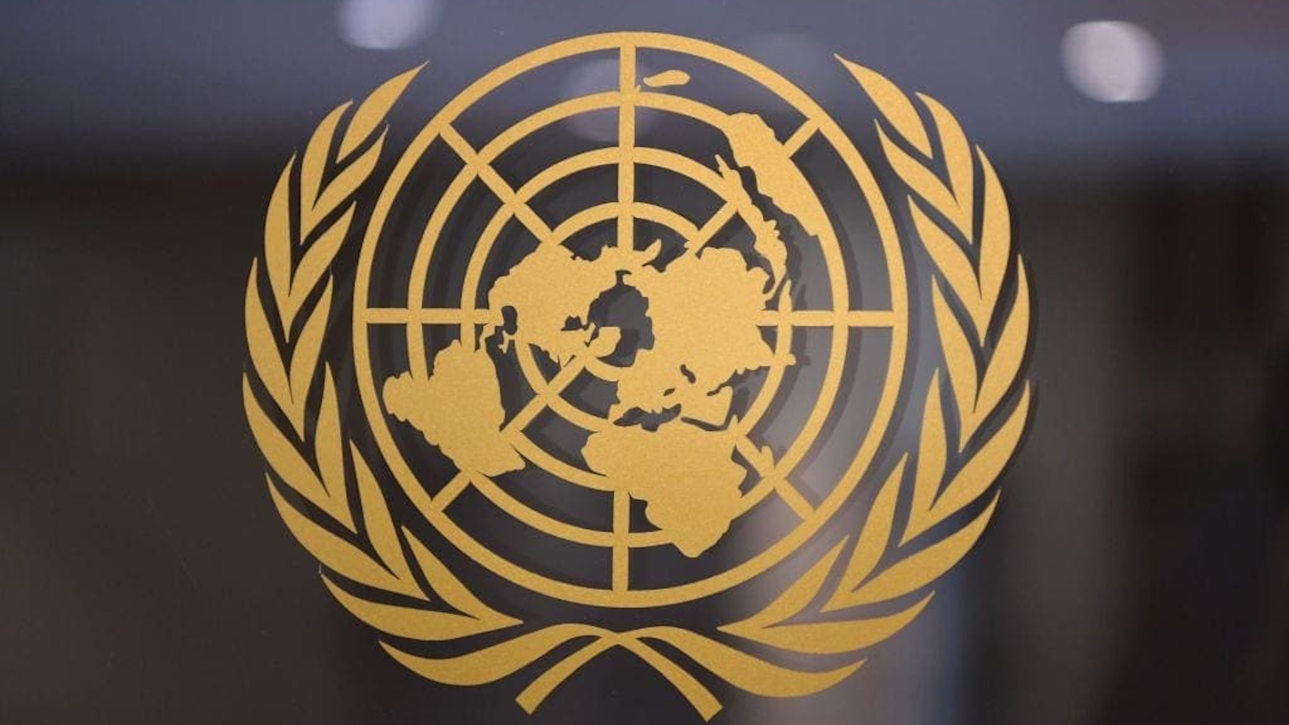 USA: International withdrawals are a vindictive effort to tear apart a global system for cooperation