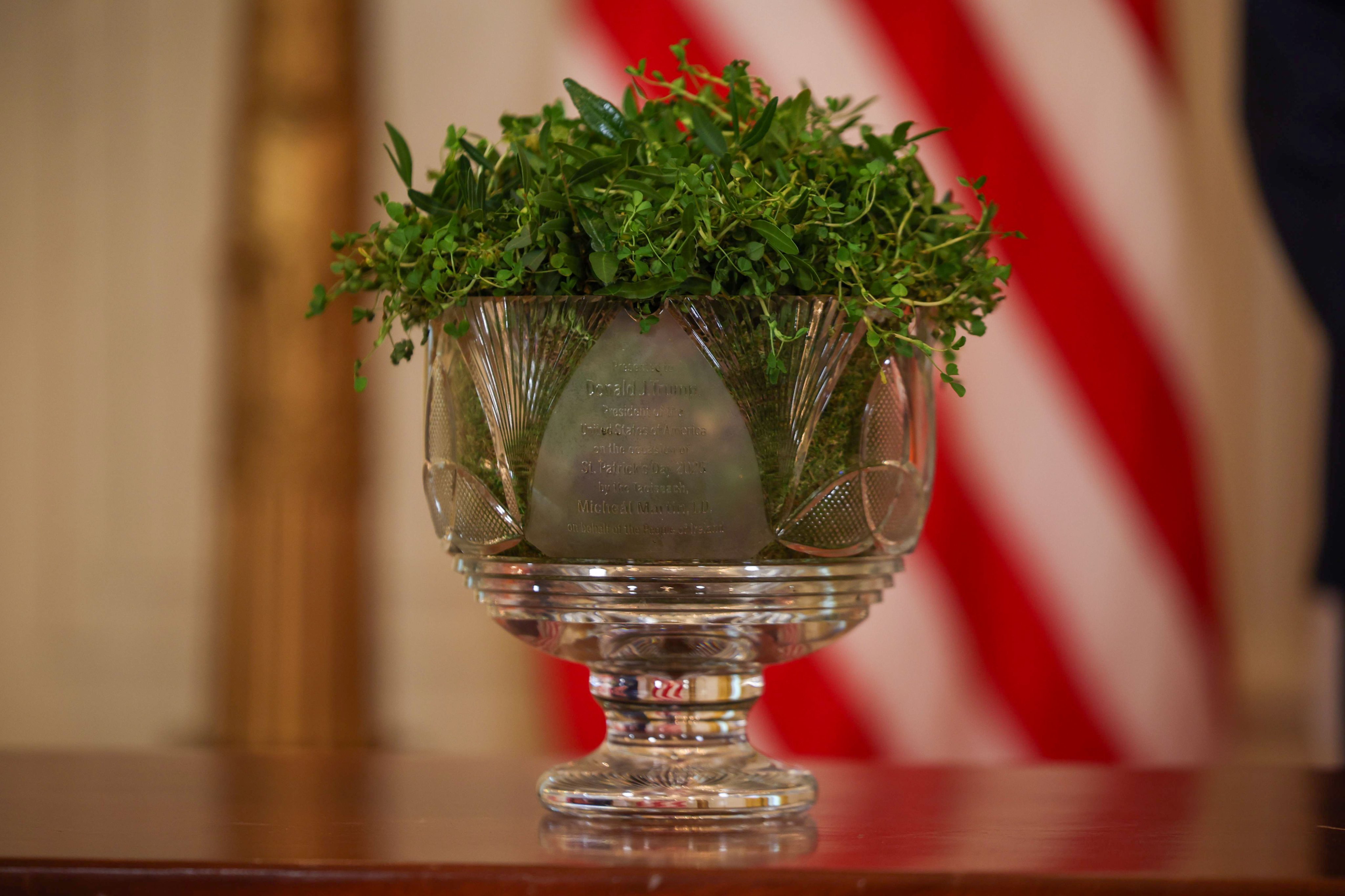 Ireland Must Lead With Courage