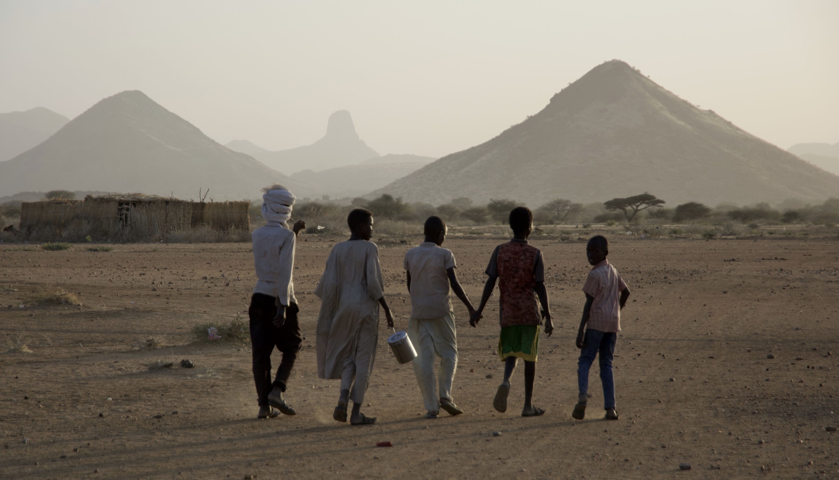 Call for the deployment of a protection force in Sudan