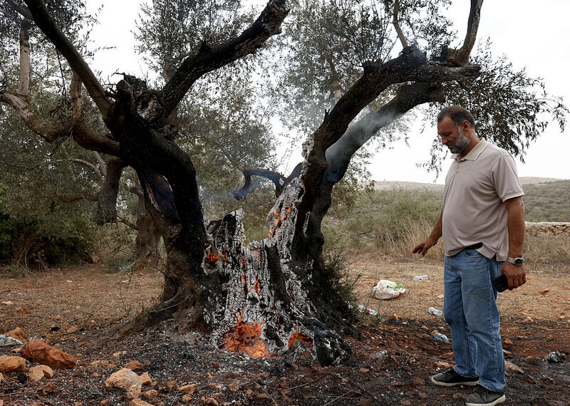 Israel/OPT: States must act as Israeli state-driven settler violence escalates at the start of Palestinian olive harvest